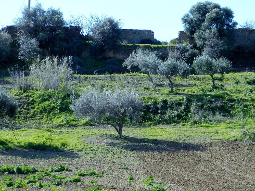 Agriturismo Passo Dei Briganti อากริเจนโต ภายนอก รูปภาพ